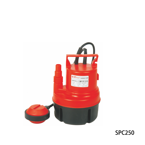 SP 